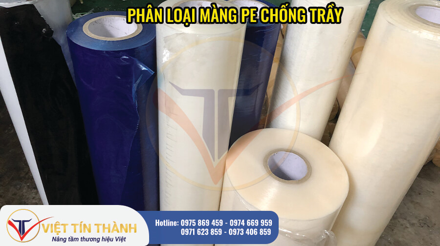 phan-loai-mang-pe-chong-tray